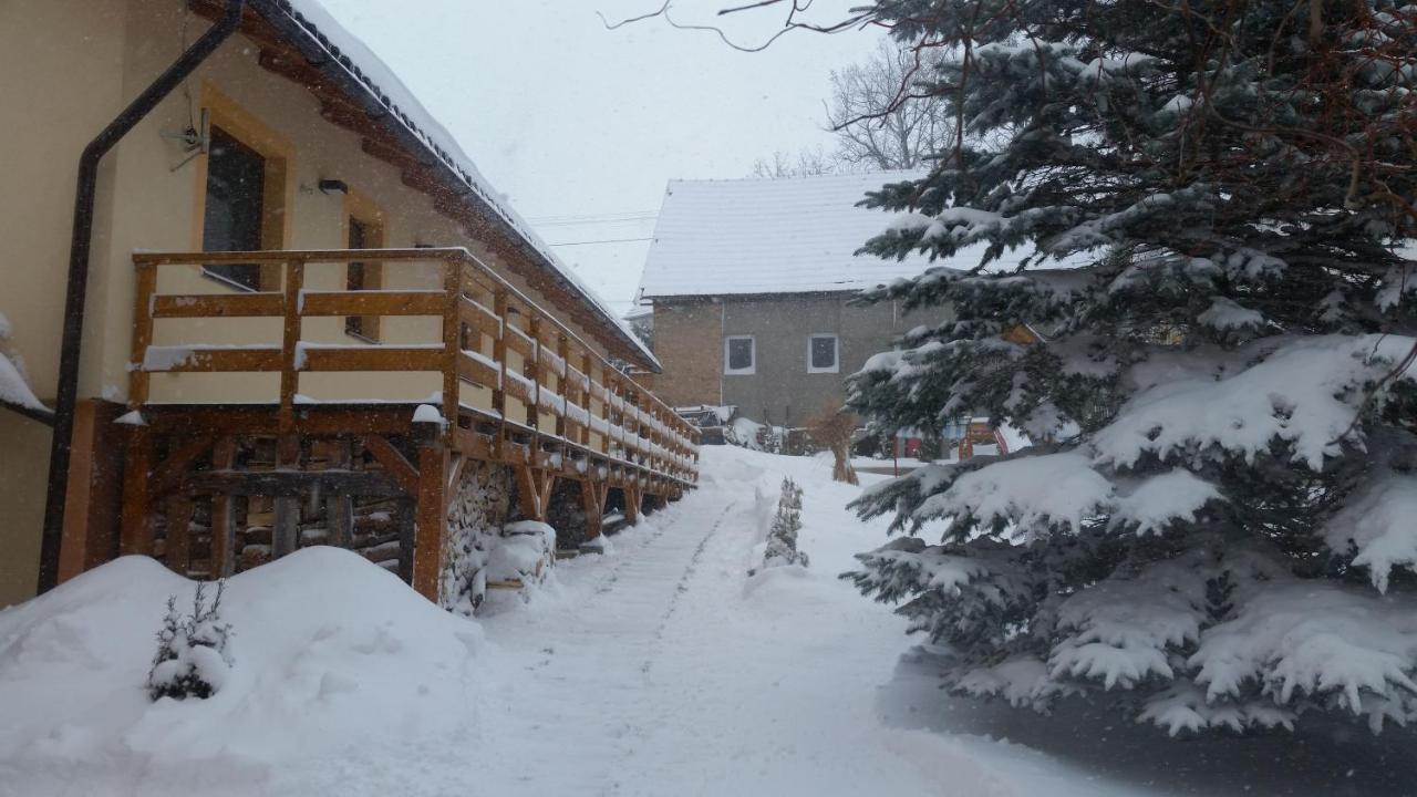 Vila Rhea Apartment Važec Exterior foto